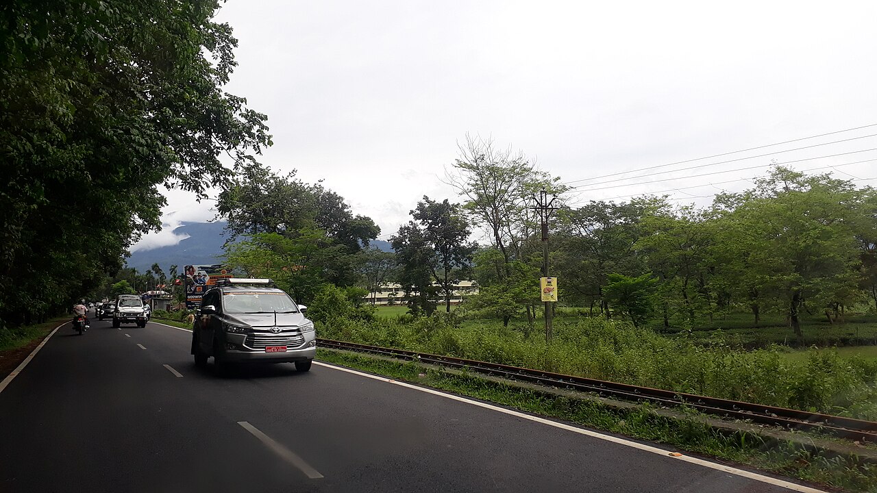 Roadside tea fields near Sukna with hills behind